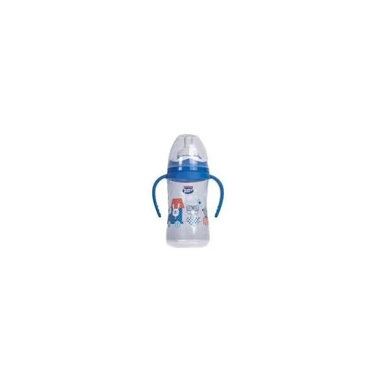 Baby Pur Biberon Large Ludique Anses 250ml