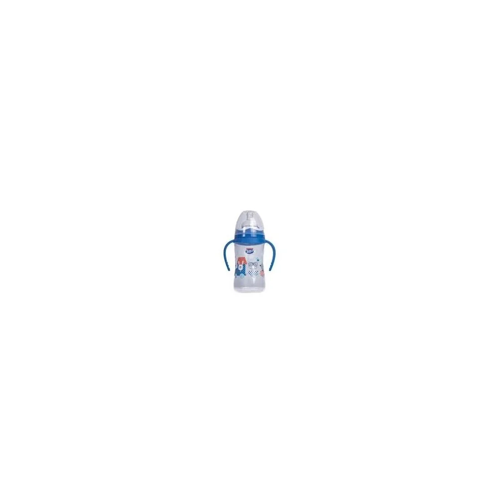 Baby Pur Biberon Large Ludique Anses 250ml